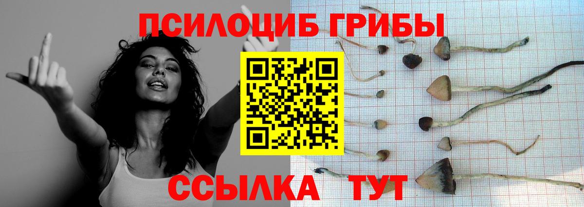 Галлюциногенные грибы Magic Shrooms Полысаево